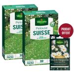 Fleuri - Pelouse Suisse - Paquerettes (x2) + Grande Marguerite Perle des Prés Offerte - face recto